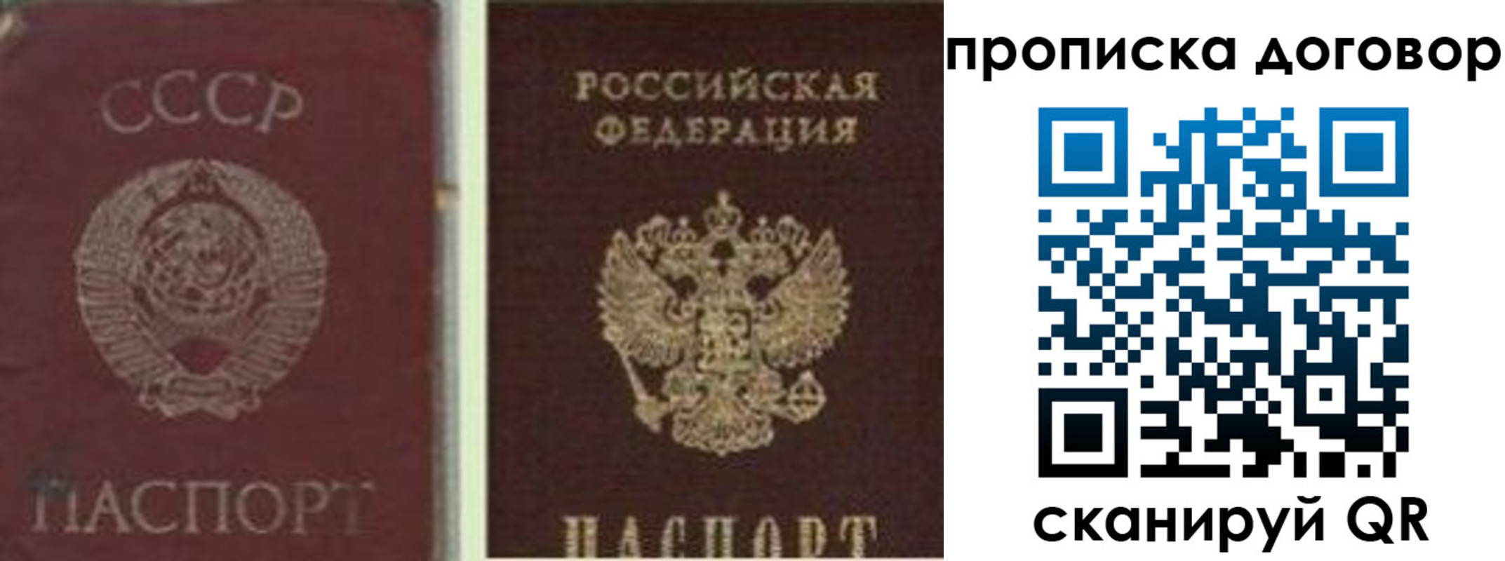 прописка гарантия в Волгореченске